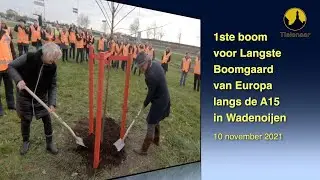 20211110 Wadenoijen Langste Boomgaard boom