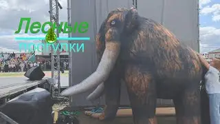 Поездка в Абатск на день села, практическая стрельба