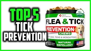 ✅Top 5 Best Tick Prevention for Dogs in 2024