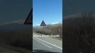 #sierranevada #bmwe34 #granadaspain #onroad #respectyourelders #bmwclassic #bmwespaña #bmw