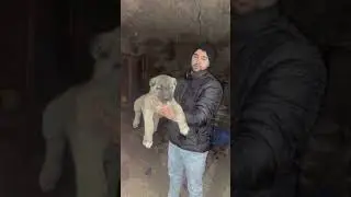 KANGAL DEĞİŞİM 4 AYLIK SÜREÇ    