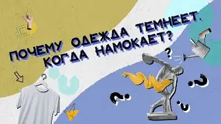 Почему одежда темнеет, когда намокает? Хороший Вопрос