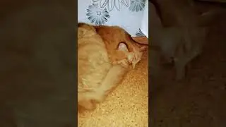 ☺☺