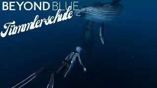 Beyond Blue  -4- Tümmlerschule