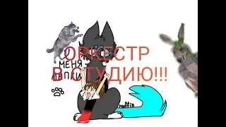 Оркестр в студию!!!