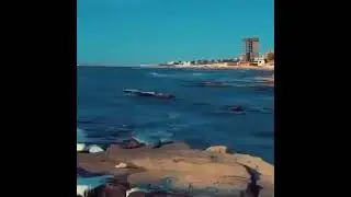 жақсылық жасау