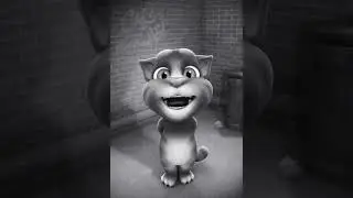 IN-S feat Kafon - DALOULA