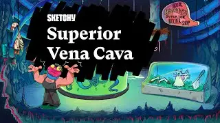 Superior Vena Cava and Its Functions (Part 1) | Anatomy | Sketchy Medical | USMLE Step 1