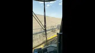 Der erste Raps fällt