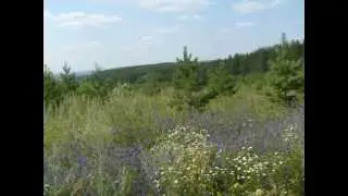 Башкирия г.Благовещенск  ("Где ты появился на свет")