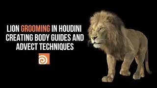 Lion Grooming in Houdini | Creating Body Guides and Advect Techniques 
