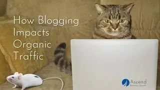 How Blogging Impacts Organic Traffic