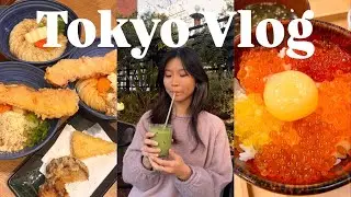 Japan Vlog 🇯🇵🎏 | matcha 🍵, ikura don 🐟, exploring jiyugaoka cafes, yokohama daytrip 🎡, beer hall 🍻