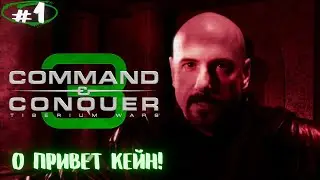 Как же хочется вернуться и остаться! Прохождение Command & Conquer 3 Tiberium Wars #1