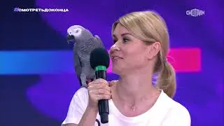 Talking parrot Bender Gromov on the show 