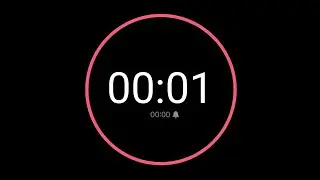 1 Second Countdown Timer - iPhone Timer Style