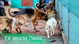 Её звали Лиза... Какой она была год назад и стала сейчас