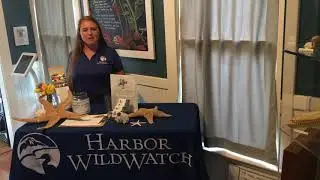 Harbor Wild Watch virtual eco-booth