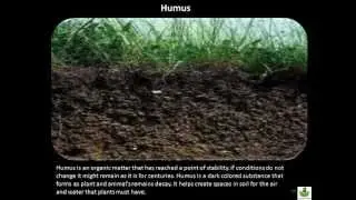 US 6 Grade Science Chapter 2 - Weathering and Soil