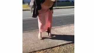 Don't encourage wild animals (Shot on iPhone meme 😅)