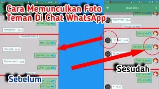 Cara Memunculkan Foto Profil Di Chat WhatsApp