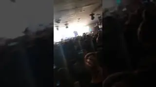 концерт-грибы