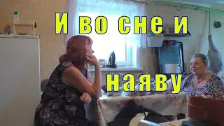 MOSQUITO INVASION /MAMA-THE ACTION MOVIE/ May 28, 2023