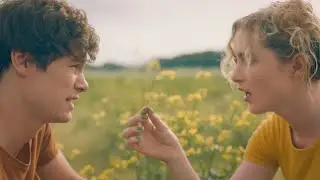 We Are Trees - Sunrise Sunset
