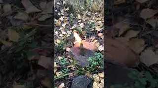 Ritual in honor of the Family, Spirits and Power