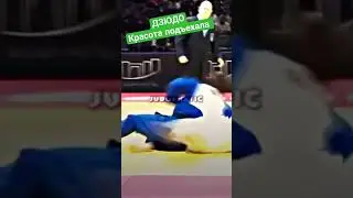 красота подъехала. #judo #judo #иппон #judoka #борьба #бросок #дзюдо #sport #победа #mma