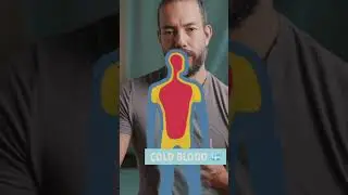 The Horse Stance In The Wim Hof Method Against The Cold 