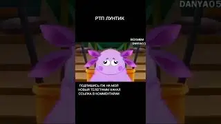 РТП ЛУНТИК. RYTP ЛУНТИК. 