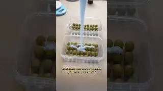 Проверка на преданность мечте