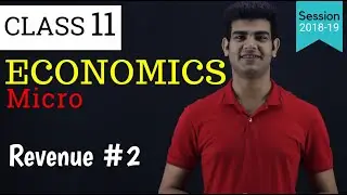 revenue class 11