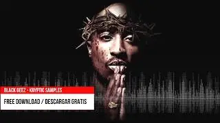 FREE DOWNLOAD 2PAC BEAT - BLACK GEEZ [Untagged Version] produced by KRYPTIC SAMPLES