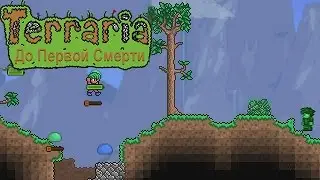 Terraria ДПС {S1E1} | В погоне за птицей счастья!