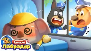 🐨Пропала Коала! | 🚌Безопасность детей | 🔍Новая серия | 📺Детский мультик | Шериф Лабрадор