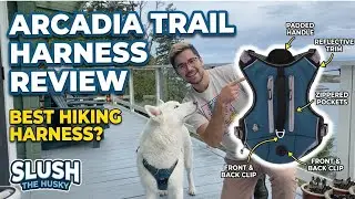 The Ultimate Arcadia Trail Dog Harness Review: Discover the 7 Features You MUST Get!