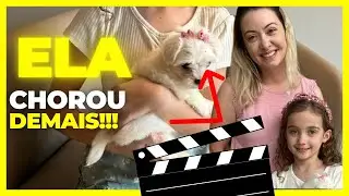 Como é a primeira noite com um filhote de pet em casa [CRAZY FOR PET]