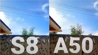 Samsung Galaxy S8 VS Samsung Galaxy A50-Camera Comparison
