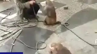 k0medi.tv