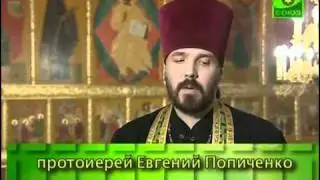 Ссоры в семье. 