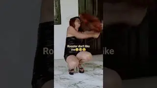 When Rooster Don't like me🤣😫 