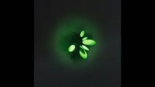Poison Bubble Pop VFX