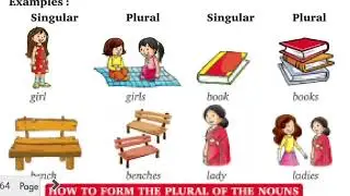 Nouns - Singular and Plural | English Grammar & Composition Grade 4 | eduarrow | Grammar for kids