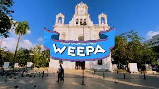 WEEPA - Tuto Brunal - Jhovii - Anzo  (Video oficial)