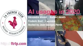 AI Usages in 2020 by Le French Panel