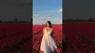 Spring time in the Netherlands 🌷🌸