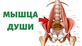 How to RELAX Your Psoas Muscle | Psoas Release