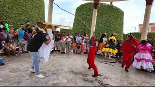 DANZA DEL TORITO 4K | Silao, Guanajuato 🇲🇽♥️